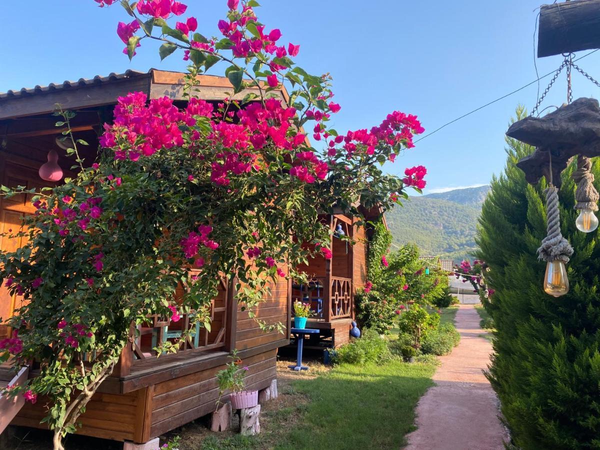 Karaoez Ada Bungalows & Villa Luaran gambar