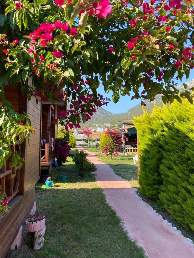 Karaoez Ada Bungalows & Villa Luaran gambar