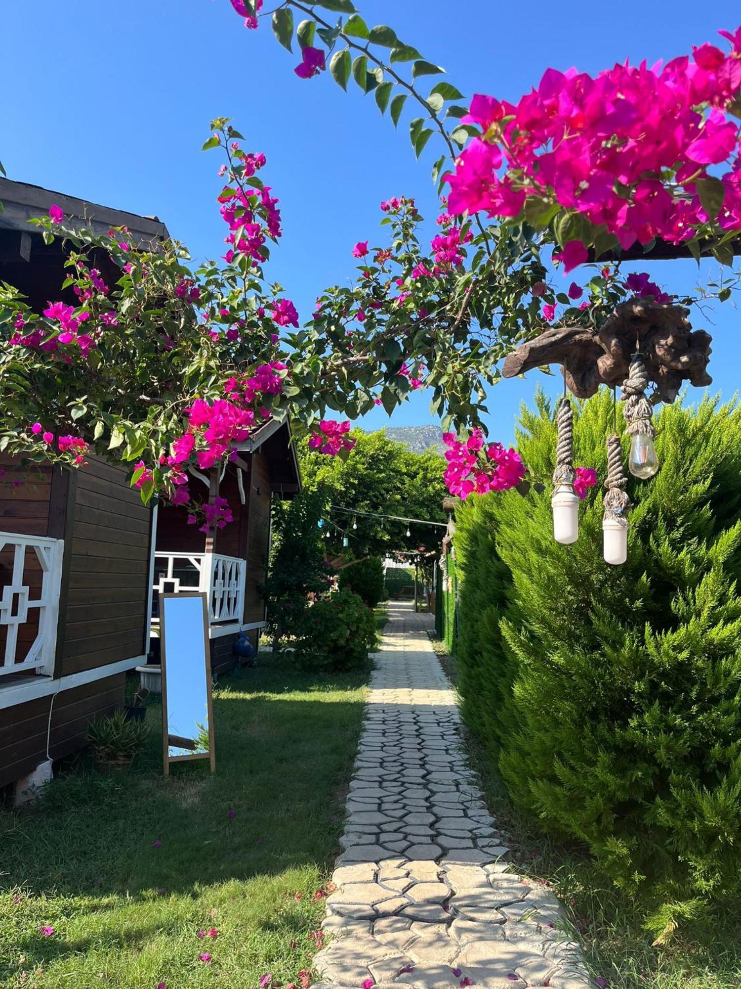 Karaoez Ada Bungalows & Villa Luaran gambar